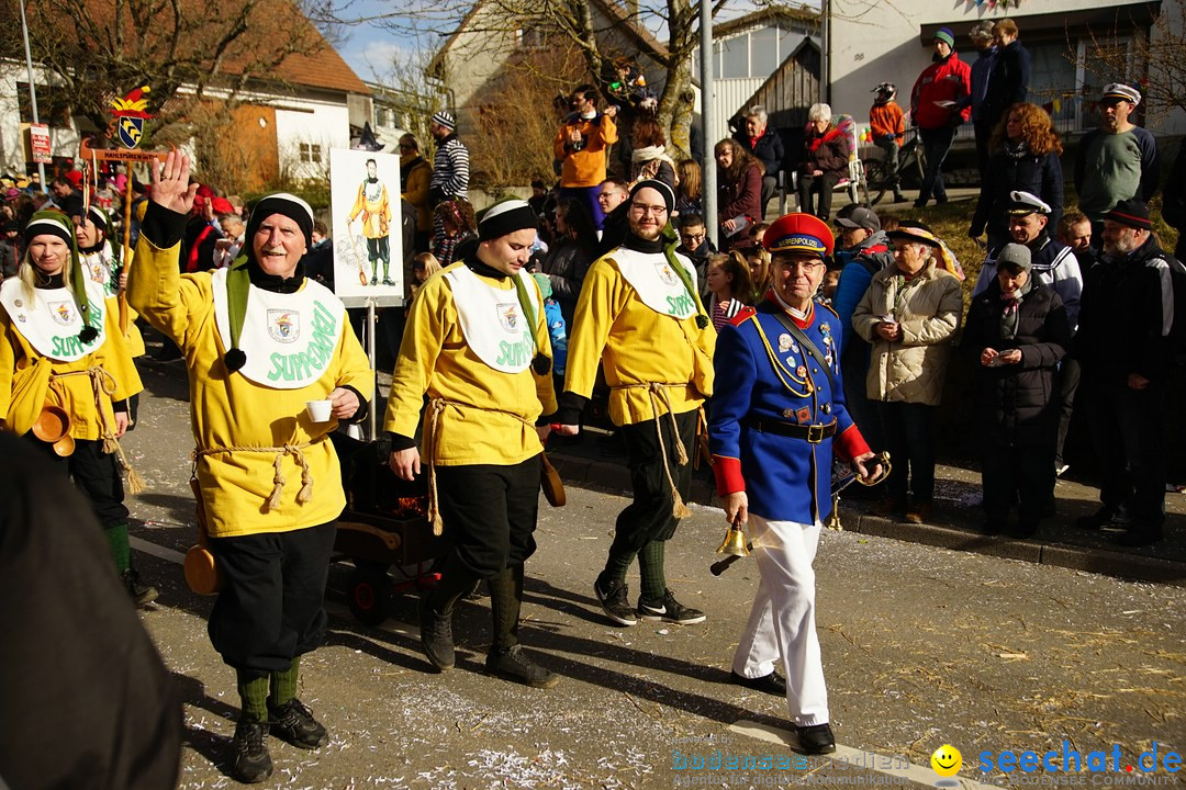 Jubilaeumsumzug - Kuh-Muh: Liggersdorf - Bodensee, 16.02.2020