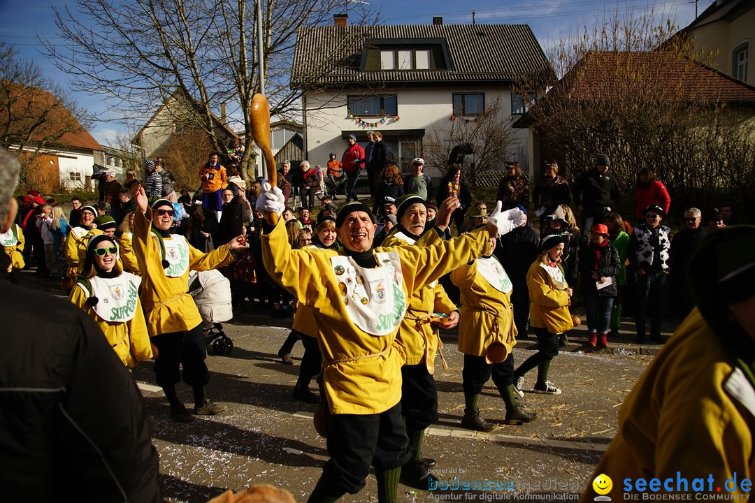 Jubilaeumsumzug - Kuh-Muh: Liggersdorf - Bodensee, 16.02.2020