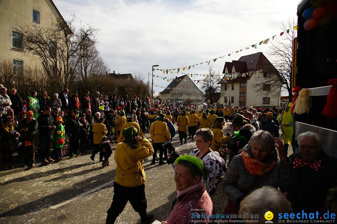 Jubilaeumsumzug - Kuh-Muh: Liggersdorf - Bodensee, 16.02.2020