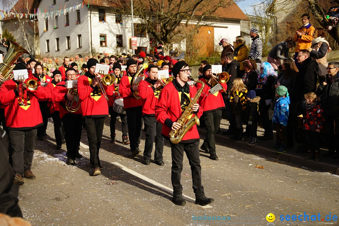 Jubilaeumsumzug - Kuh-Muh: Liggersdorf - Bodensee, 16.02.2020