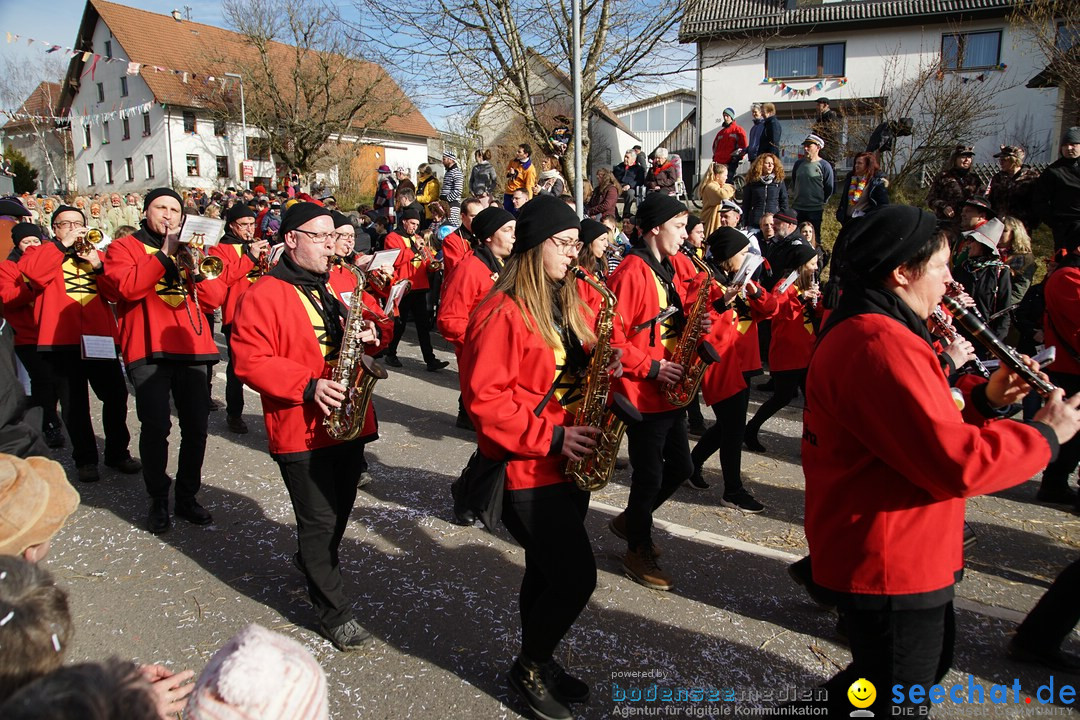 Jubilaeumsumzug - Kuh-Muh: Liggersdorf - Bodensee, 16.02.2020