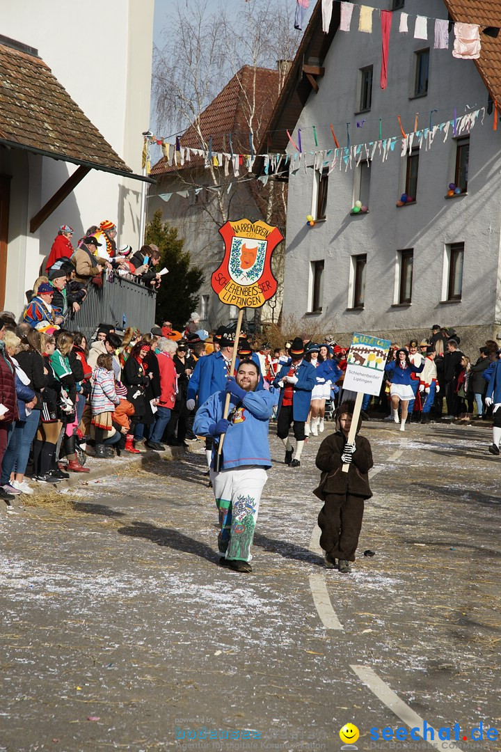 Jubilaeumsumzug - Kuh-Muh: Liggersdorf - Bodensee, 16.02.2020