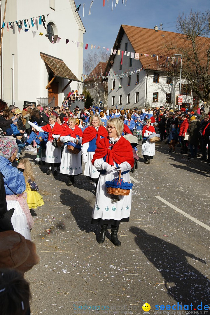 Jubilaeumsumzug - Kuh-Muh: Liggersdorf - Bodensee, 16.02.2020