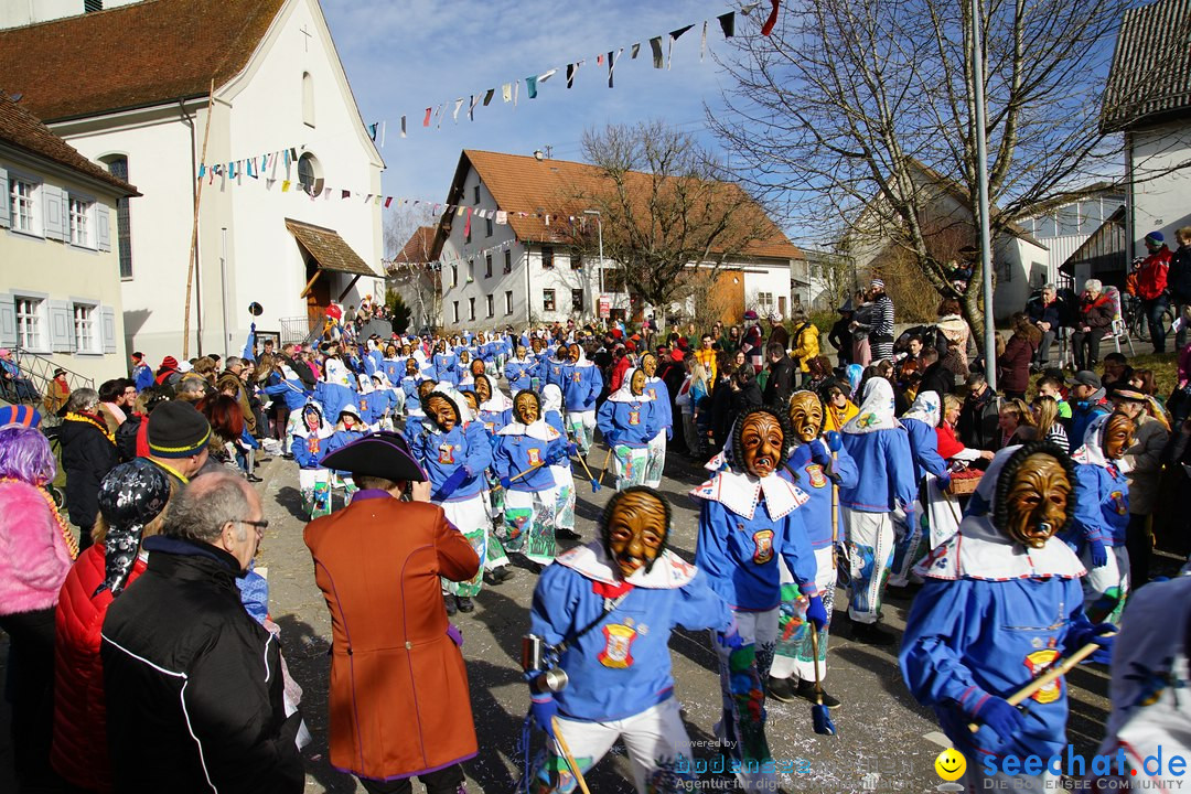 Jubilaeumsumzug - Kuh-Muh: Liggersdorf - Bodensee, 16.02.2020