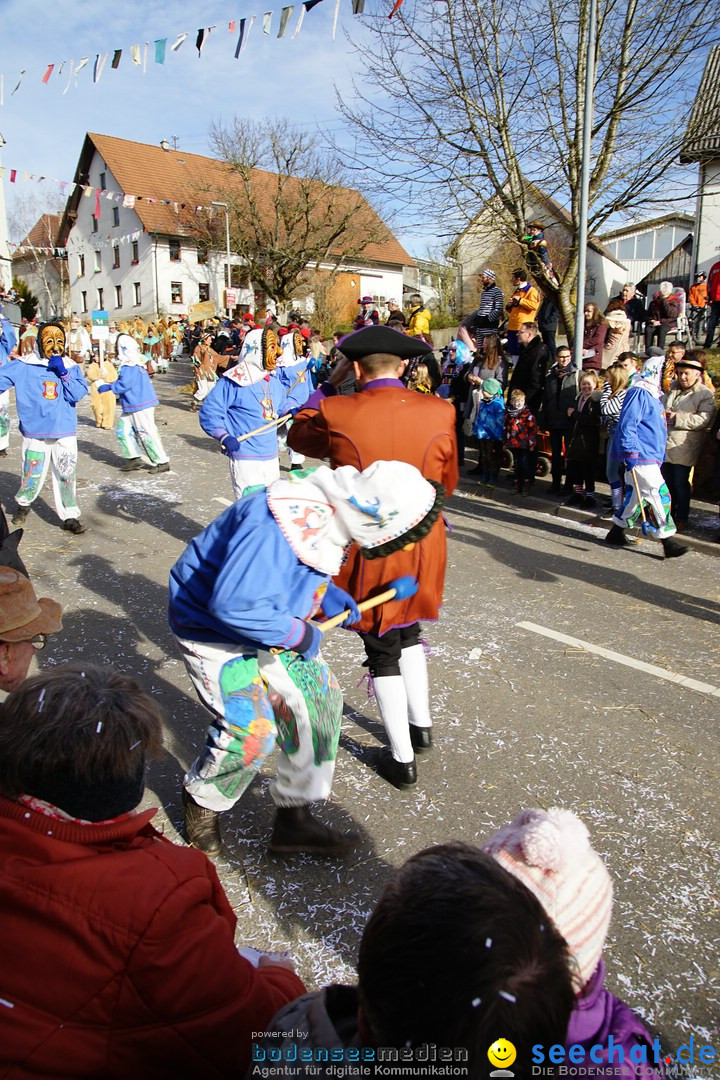 Jubilaeumsumzug - Kuh-Muh: Liggersdorf - Bodensee, 16.02.2020