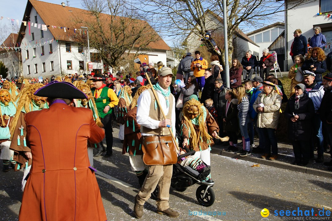 Jubilaeumsumzug - Kuh-Muh: Liggersdorf - Bodensee, 16.02.2020