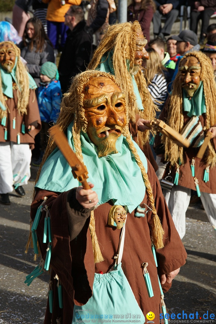 Jubilaeumsumzug - Kuh-Muh: Liggersdorf - Bodensee, 16.02.2020