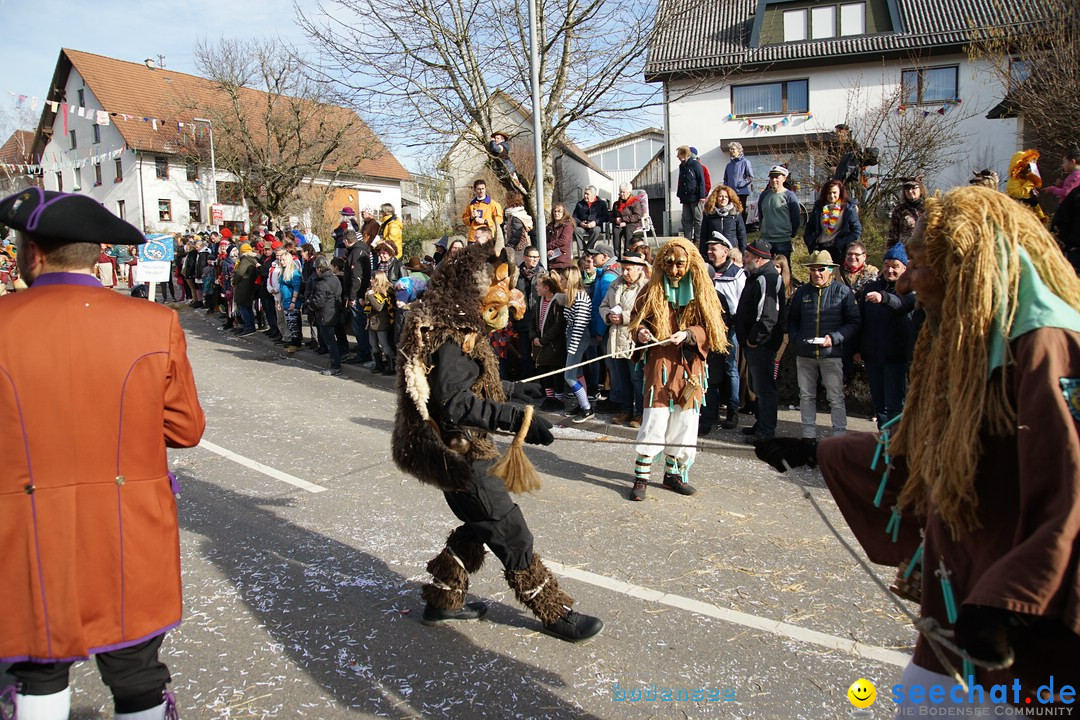 Jubilaeumsumzug - Kuh-Muh: Liggersdorf - Bodensee, 16.02.2020