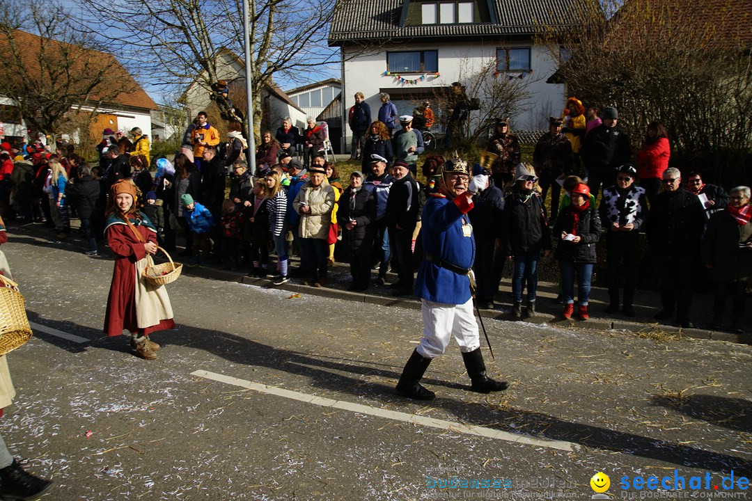 Jubilaeumsumzug - Kuh-Muh: Liggersdorf - Bodensee, 16.02.2020