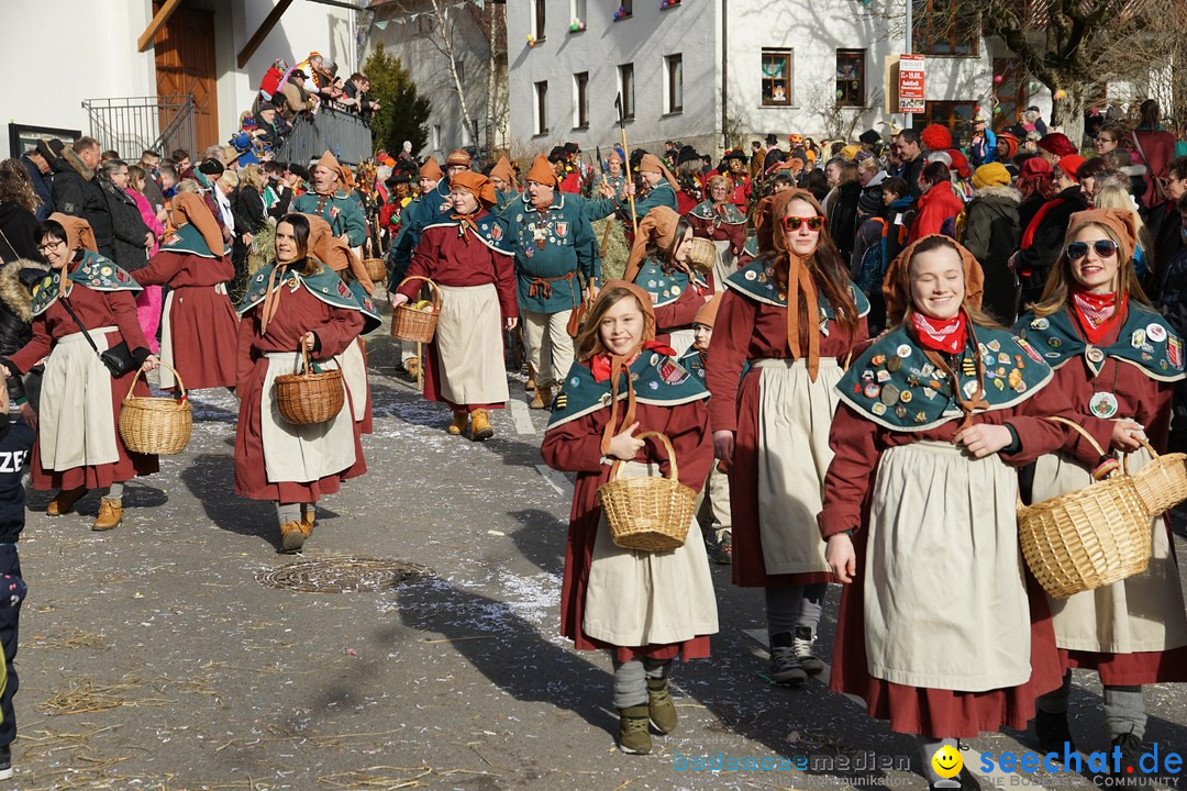 Jubilaeumsumzug - Kuh-Muh: Liggersdorf - Bodensee, 16.02.2020