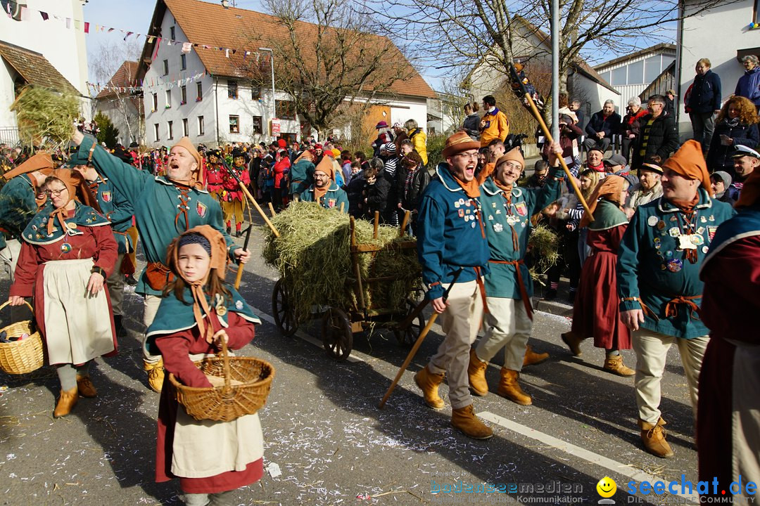 Jubilaeumsumzug - Kuh-Muh: Liggersdorf - Bodensee, 16.02.2020