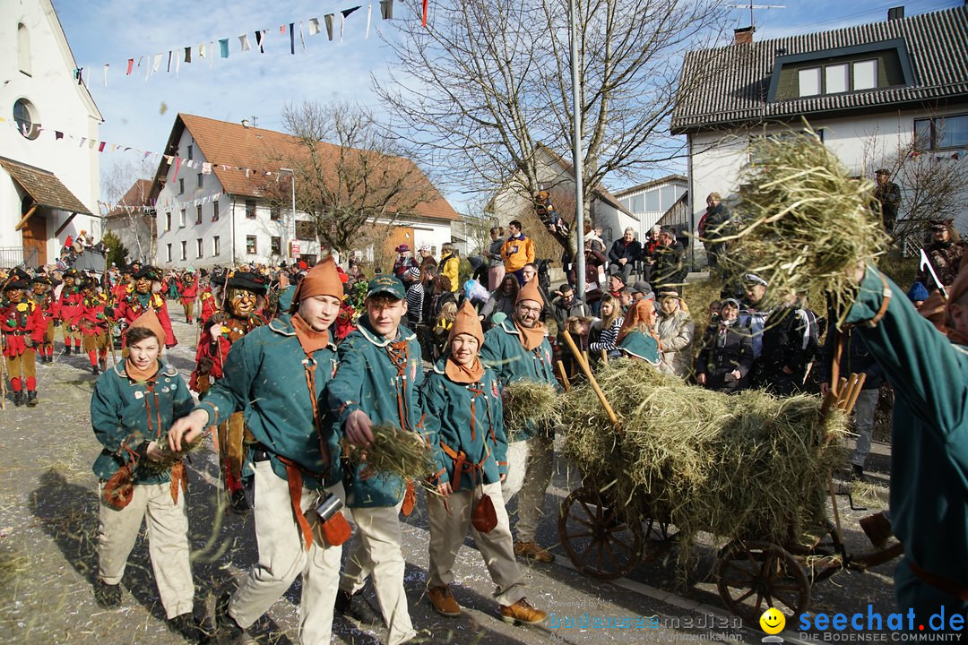 Jubilaeumsumzug - Kuh-Muh: Liggersdorf - Bodensee, 16.02.2020