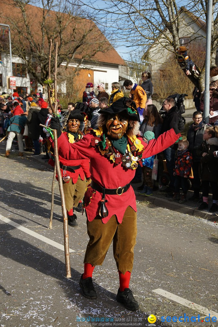 Jubilaeumsumzug - Kuh-Muh: Liggersdorf - Bodensee, 16.02.2020