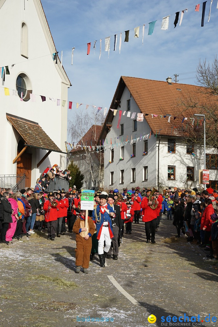 Jubilaeumsumzug - Kuh-Muh: Liggersdorf - Bodensee, 16.02.2020