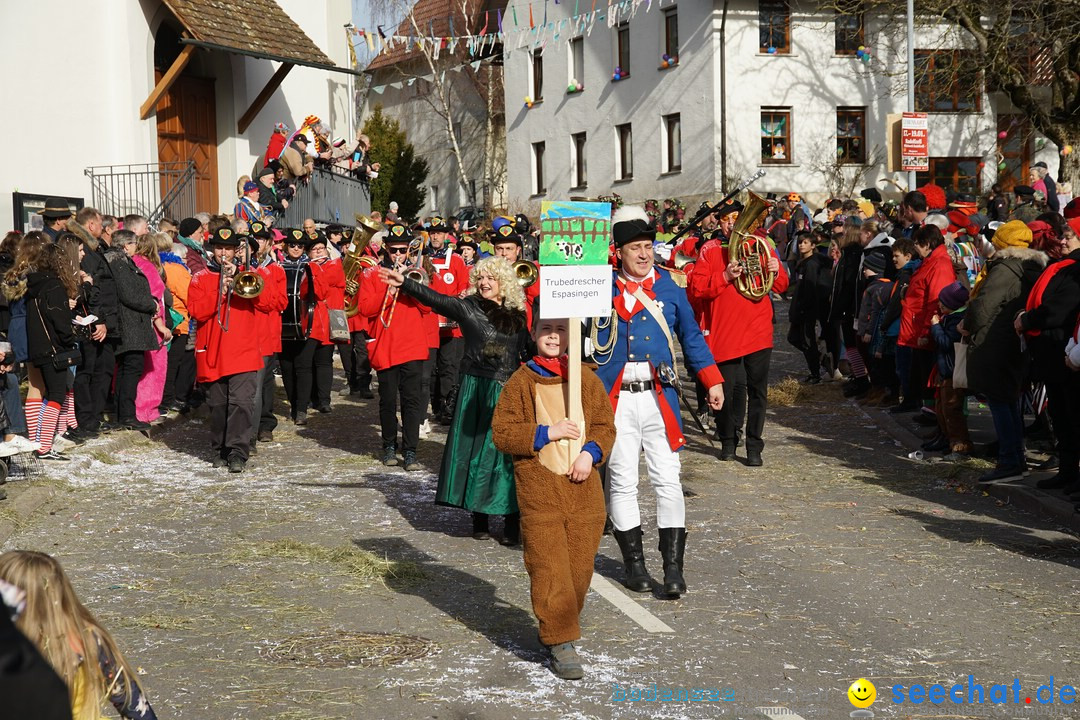 Jubilaeumsumzug - Kuh-Muh: Liggersdorf - Bodensee, 16.02.2020