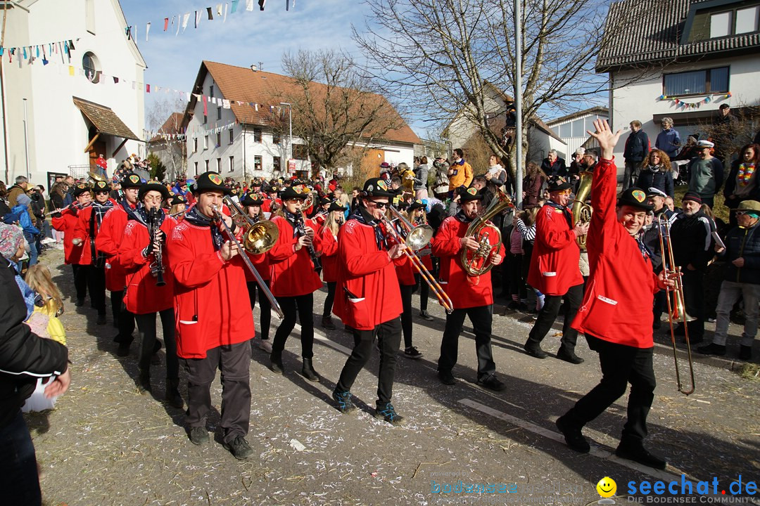 Jubilaeumsumzug - Kuh-Muh: Liggersdorf - Bodensee, 16.02.2020