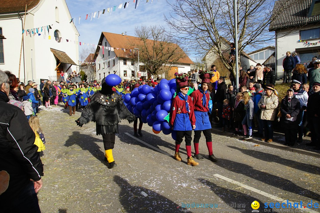 Jubilaeumsumzug - Kuh-Muh: Liggersdorf - Bodensee, 16.02.2020