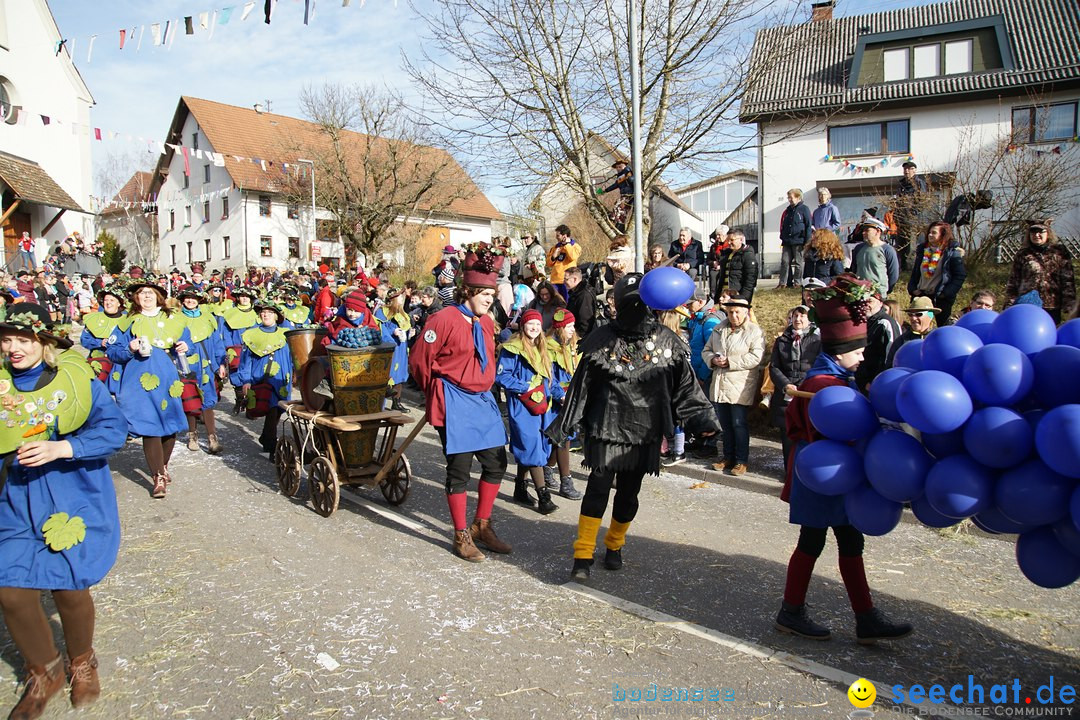 Jubilaeumsumzug - Kuh-Muh: Liggersdorf - Bodensee, 16.02.2020