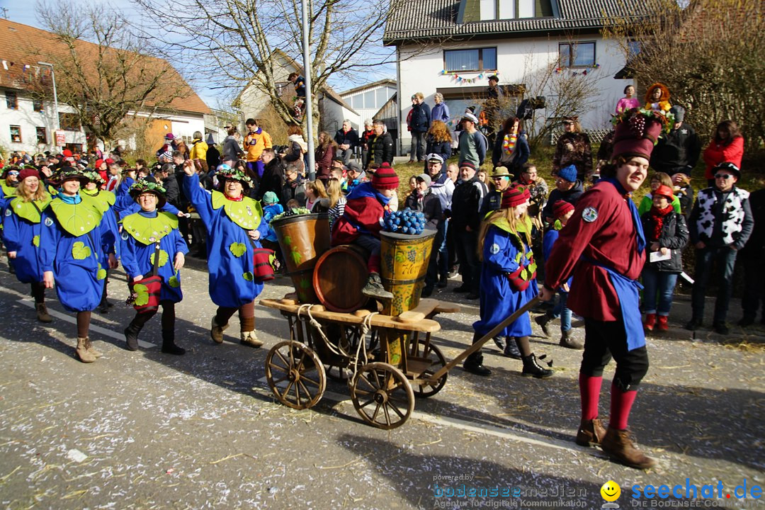 Jubilaeumsumzug - Kuh-Muh: Liggersdorf - Bodensee, 16.02.2020