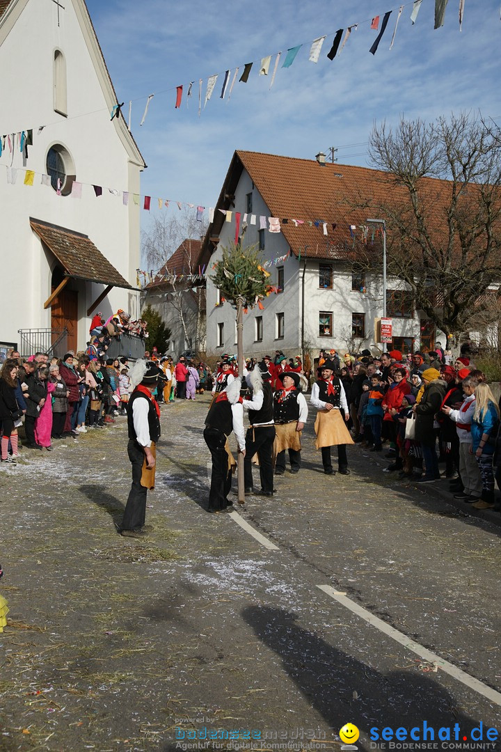 Jubilaeumsumzug - Kuh-Muh: Liggersdorf - Bodensee, 16.02.2020