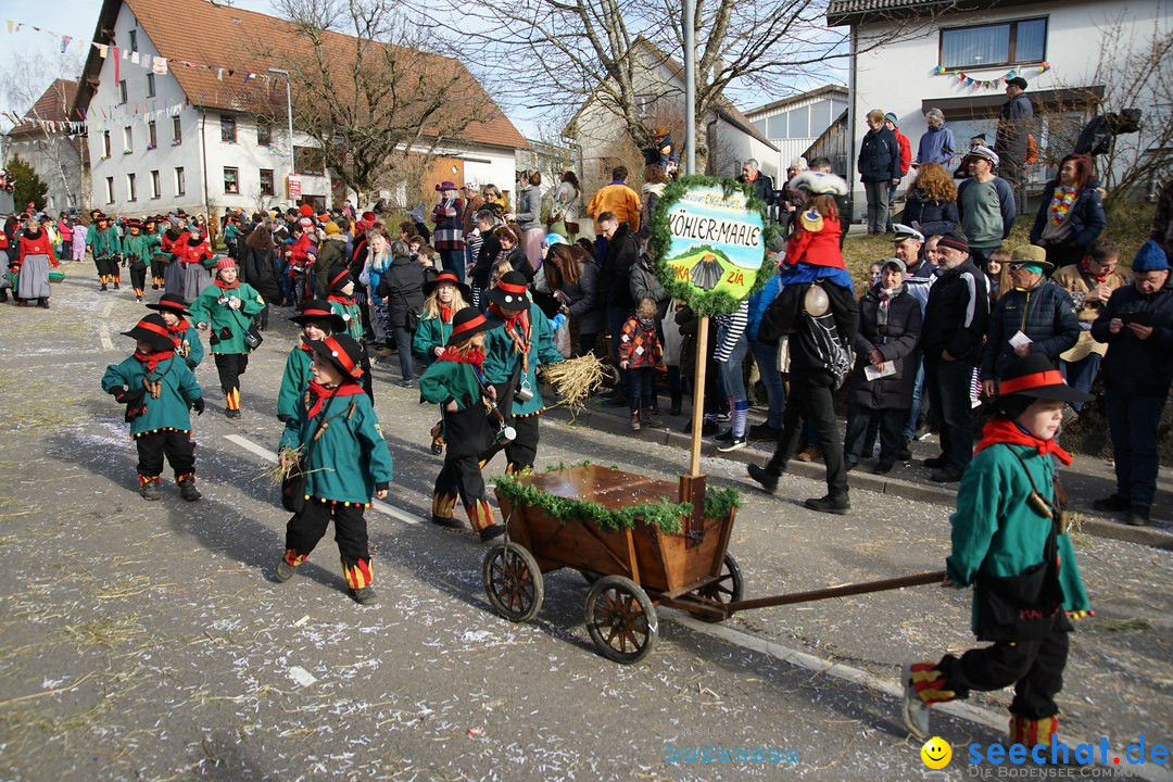 Jubilaeumsumzug - Kuh-Muh: Liggersdorf - Bodensee, 16.02.2020