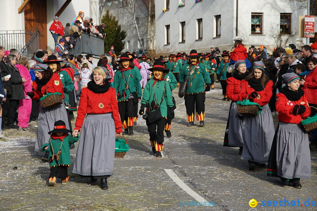 Jubilaeumsumzug - Kuh-Muh: Liggersdorf - Bodensee, 16.02.2020