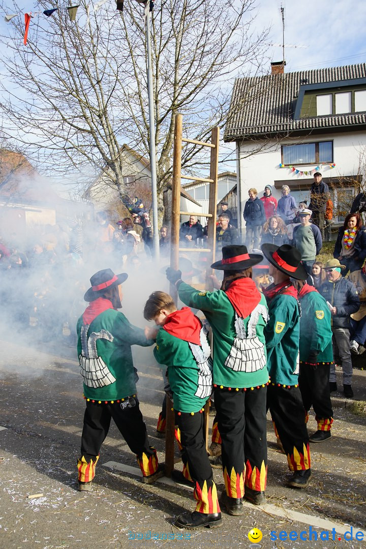 Jubilaeumsumzug - Kuh-Muh: Liggersdorf - Bodensee, 16.02.2020