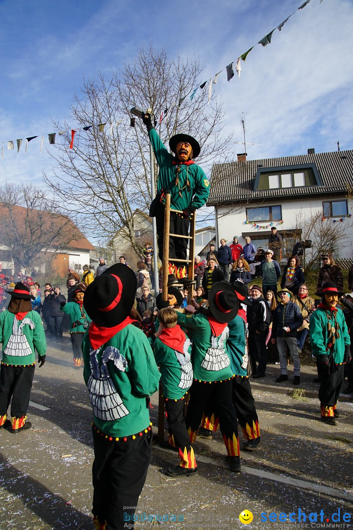 Jubilaeumsumzug - Kuh-Muh: Liggersdorf - Bodensee, 16.02.2020