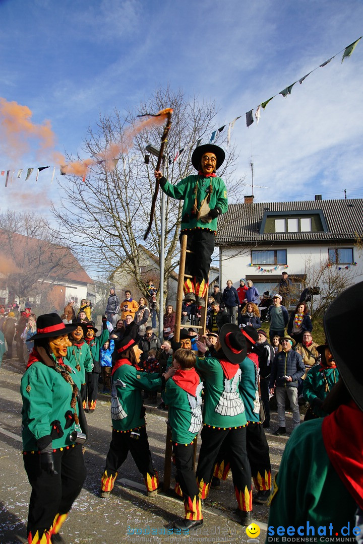 Jubilaeumsumzug - Kuh-Muh: Liggersdorf - Bodensee, 16.02.2020