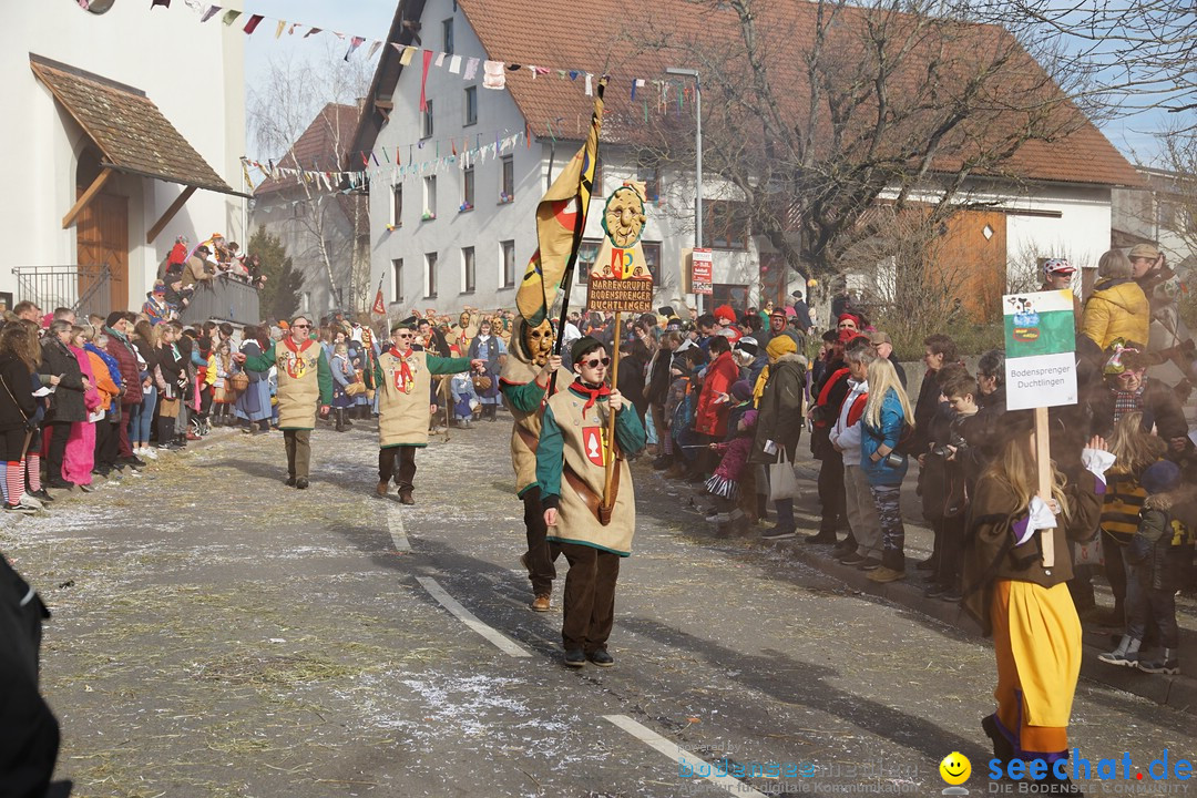 Jubilaeumsumzug - Kuh-Muh: Liggersdorf - Bodensee, 16.02.2020