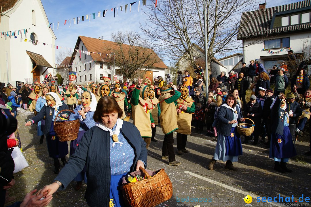 Jubilaeumsumzug - Kuh-Muh: Liggersdorf - Bodensee, 16.02.2020