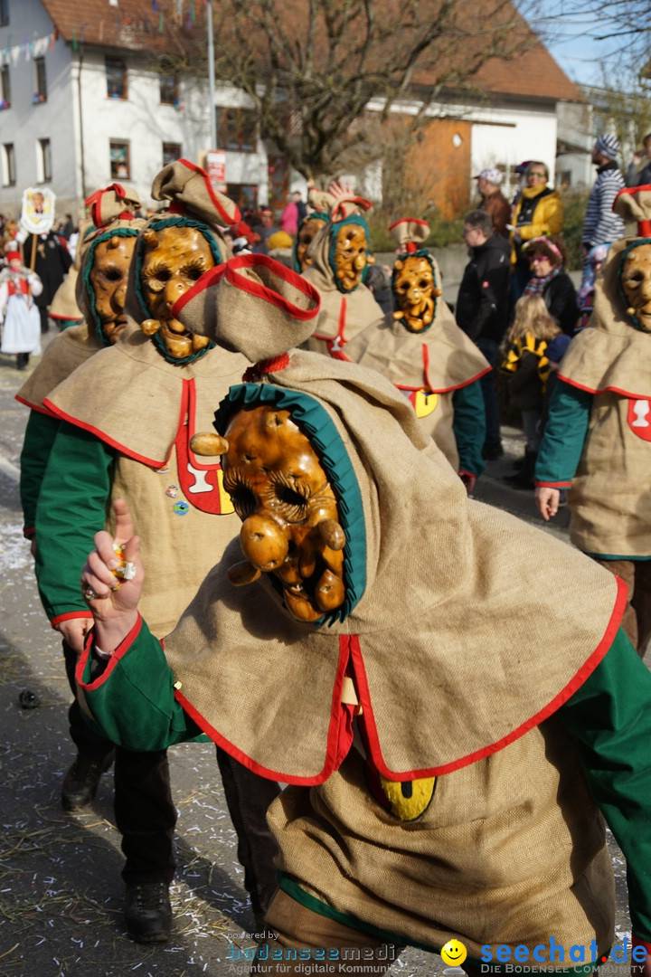 Jubilaeumsumzug - Kuh-Muh: Liggersdorf - Bodensee, 16.02.2020