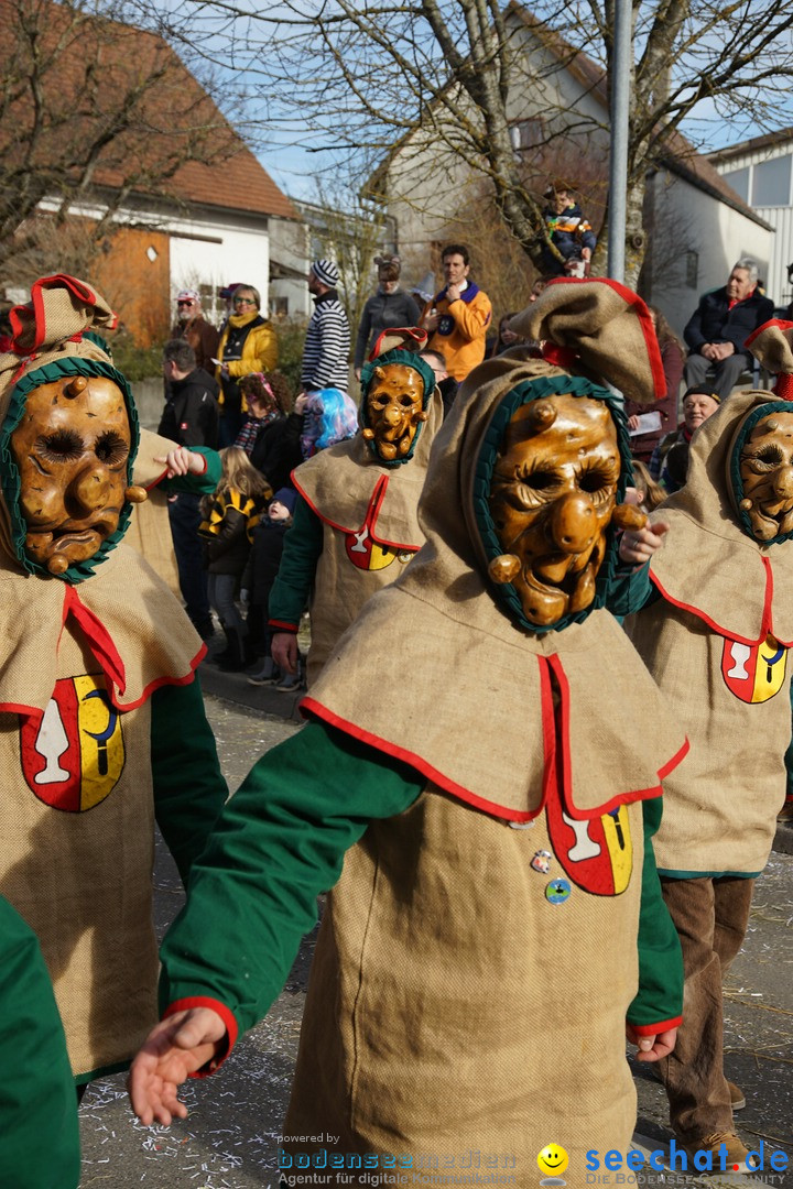 Jubilaeumsumzug - Kuh-Muh: Liggersdorf - Bodensee, 16.02.2020