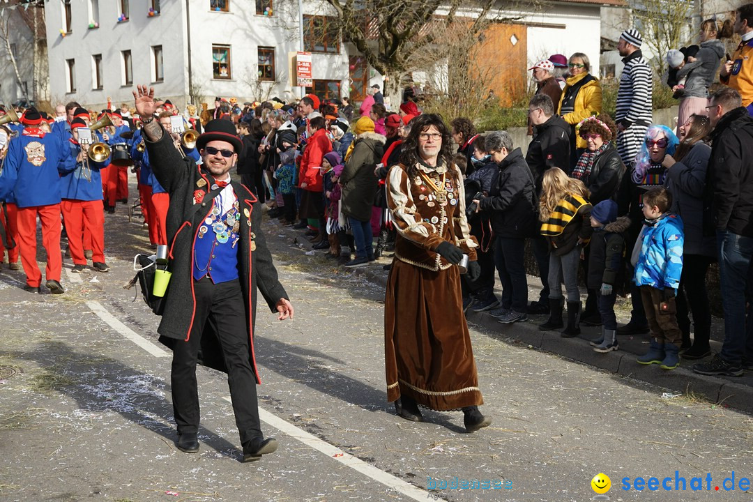 Jubilaeumsumzug - Kuh-Muh: Liggersdorf - Bodensee, 16.02.2020