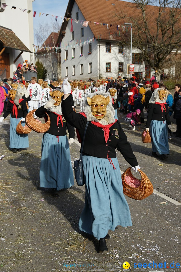 Jubilaeumsumzug - Kuh-Muh: Liggersdorf - Bodensee, 16.02.2020