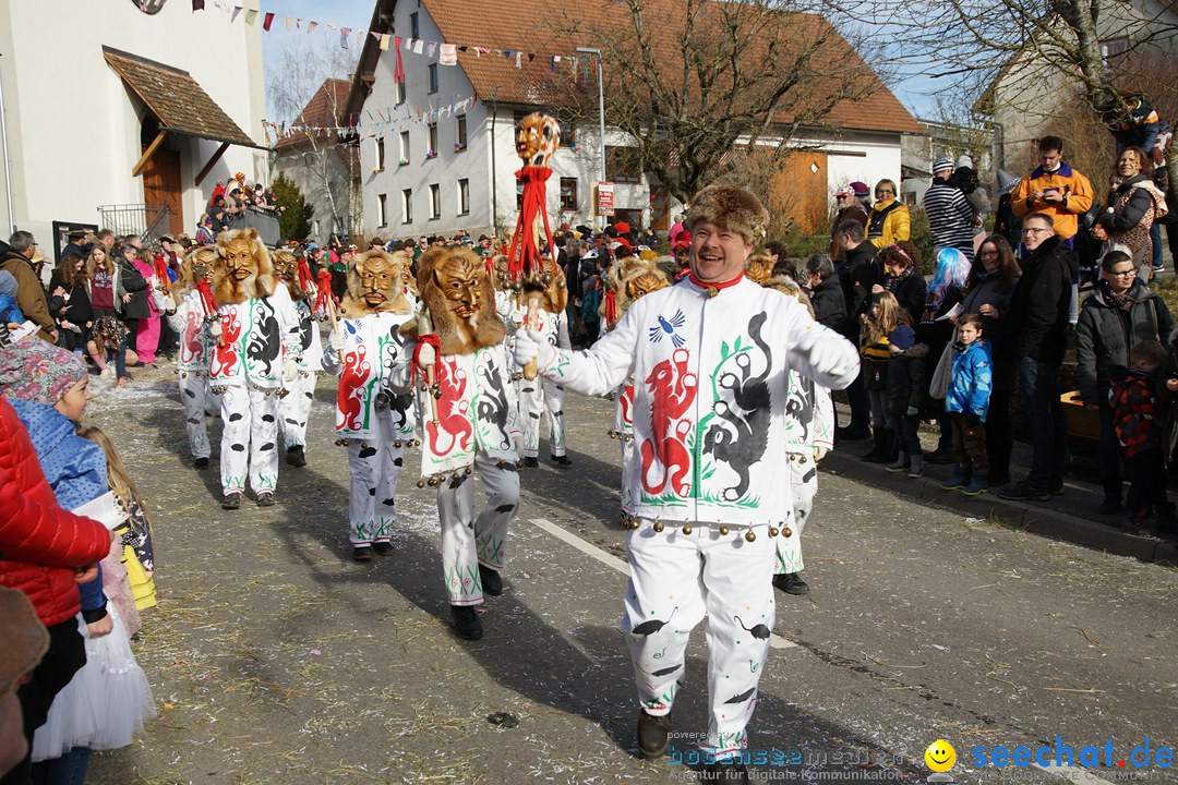 Jubilaeumsumzug - Kuh-Muh: Liggersdorf - Bodensee, 16.02.2020