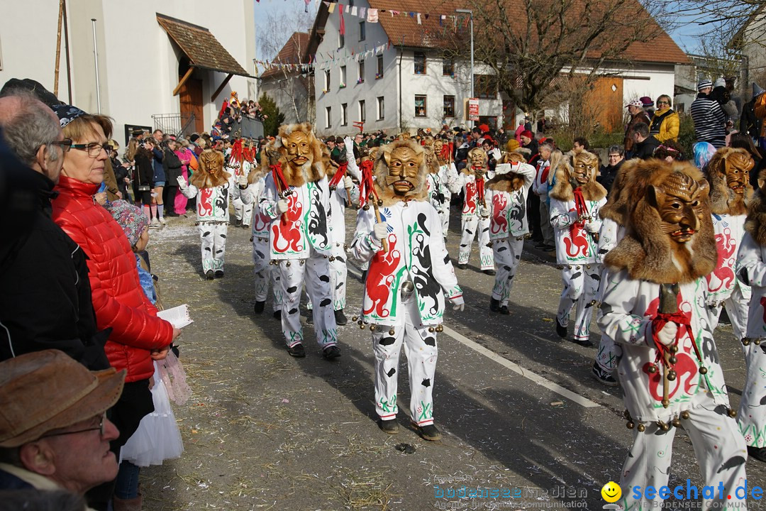 Jubilaeumsumzug - Kuh-Muh: Liggersdorf - Bodensee, 16.02.2020