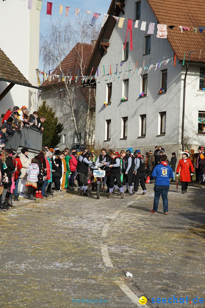 Jubilaeumsumzug - Kuh-Muh: Liggersdorf - Bodensee, 16.02.2020