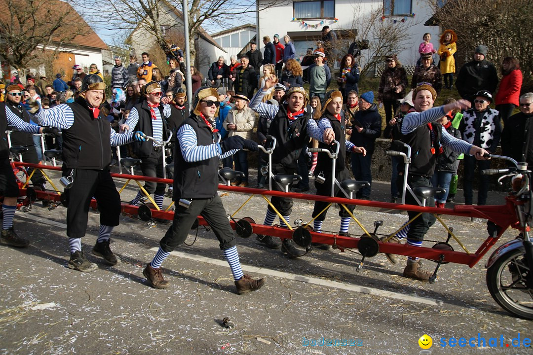 Jubilaeumsumzug - Kuh-Muh: Liggersdorf - Bodensee, 16.02.2020