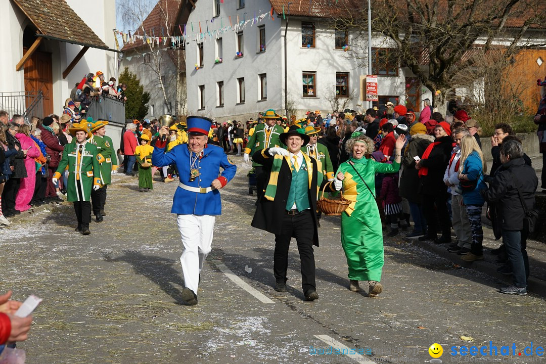 Jubilaeumsumzug - Kuh-Muh: Liggersdorf - Bodensee, 16.02.2020