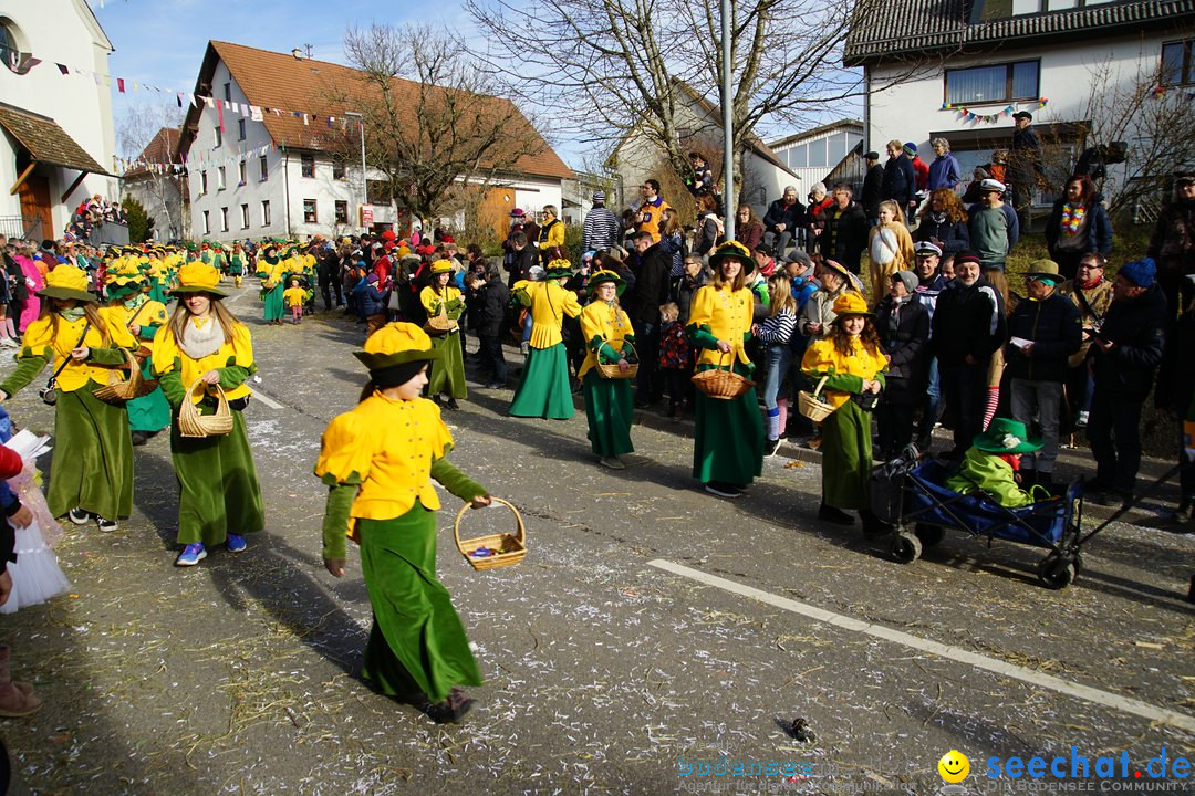 Jubilaeumsumzug - Kuh-Muh: Liggersdorf - Bodensee, 16.02.2020