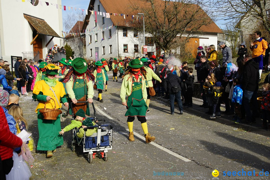 Jubilaeumsumzug - Kuh-Muh: Liggersdorf - Bodensee, 16.02.2020