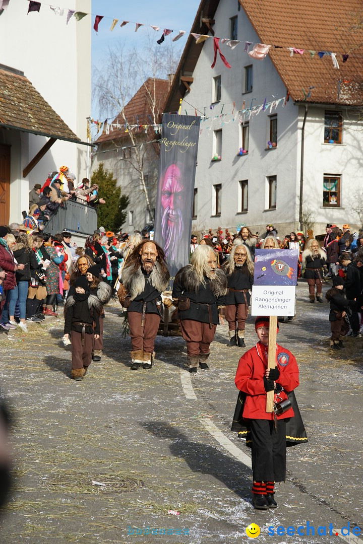 Jubilaeumsumzug - Kuh-Muh: Liggersdorf - Bodensee, 16.02.2020