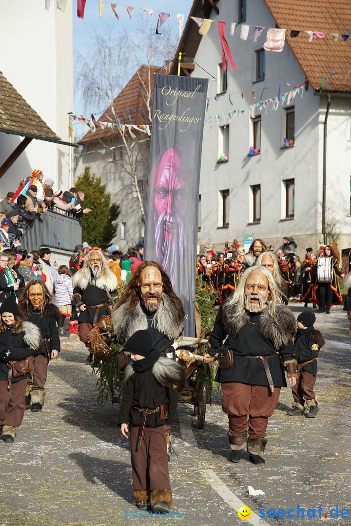 Jubilaeumsumzug - Kuh-Muh: Liggersdorf - Bodensee, 16.02.2020