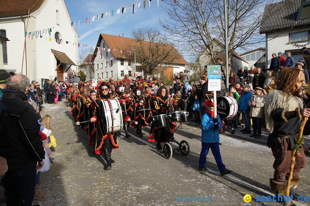 Jubilaeumsumzug - Kuh-Muh: Liggersdorf - Bodensee, 16.02.2020