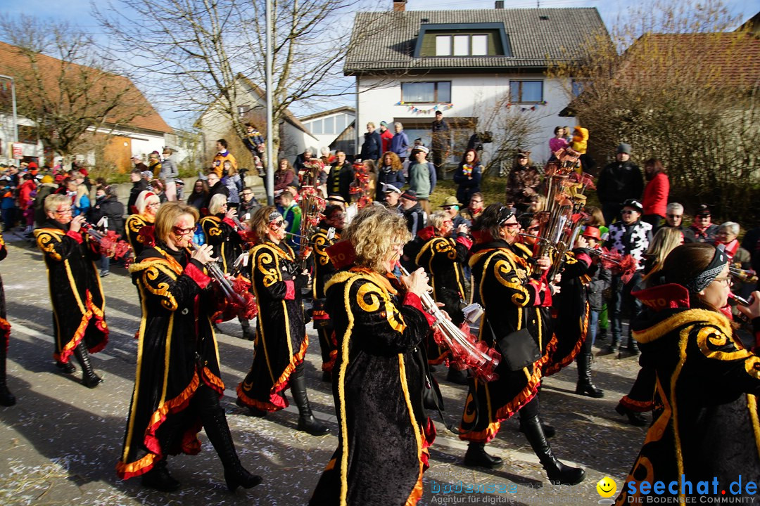 Jubilaeumsumzug - Kuh-Muh: Liggersdorf - Bodensee, 16.02.2020