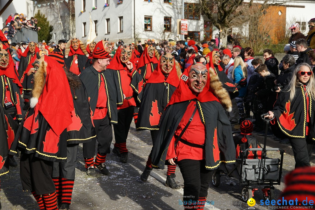 Jubilaeumsumzug - Kuh-Muh: Liggersdorf - Bodensee, 16.02.2020