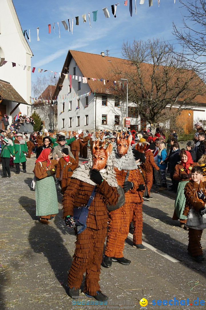 Jubilaeumsumzug - Kuh-Muh: Liggersdorf - Bodensee, 16.02.2020