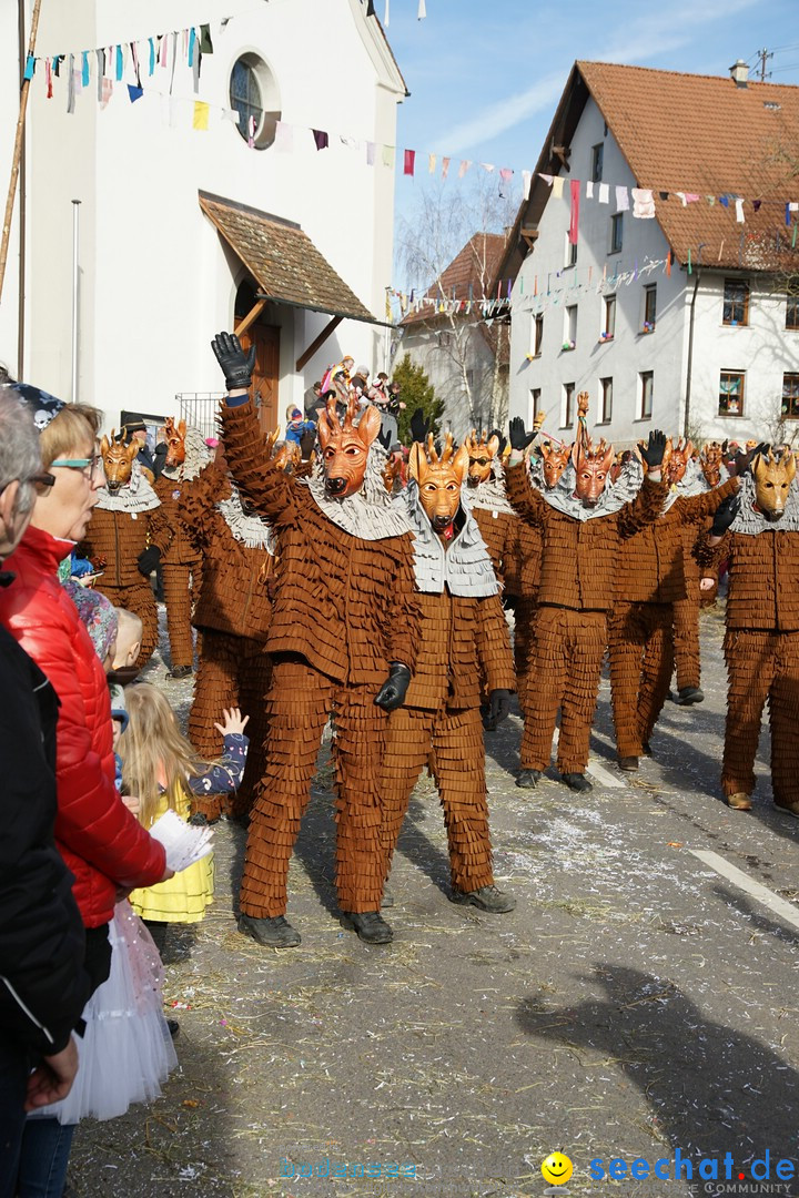 Jubilaeumsumzug - Kuh-Muh: Liggersdorf - Bodensee, 16.02.2020