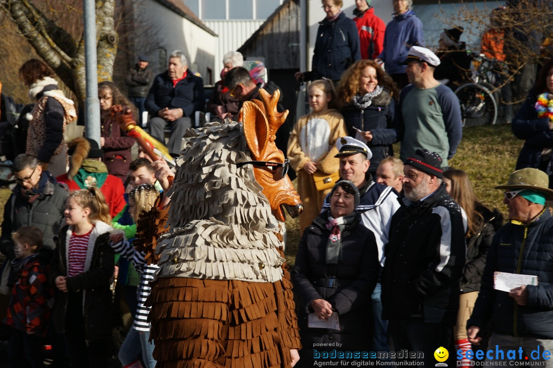 Jubilaeumsumzug - Kuh-Muh: Liggersdorf - Bodensee, 16.02.2020